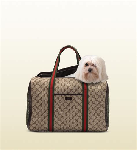 designer dog bags gucci|Gucci dog collar backpack.